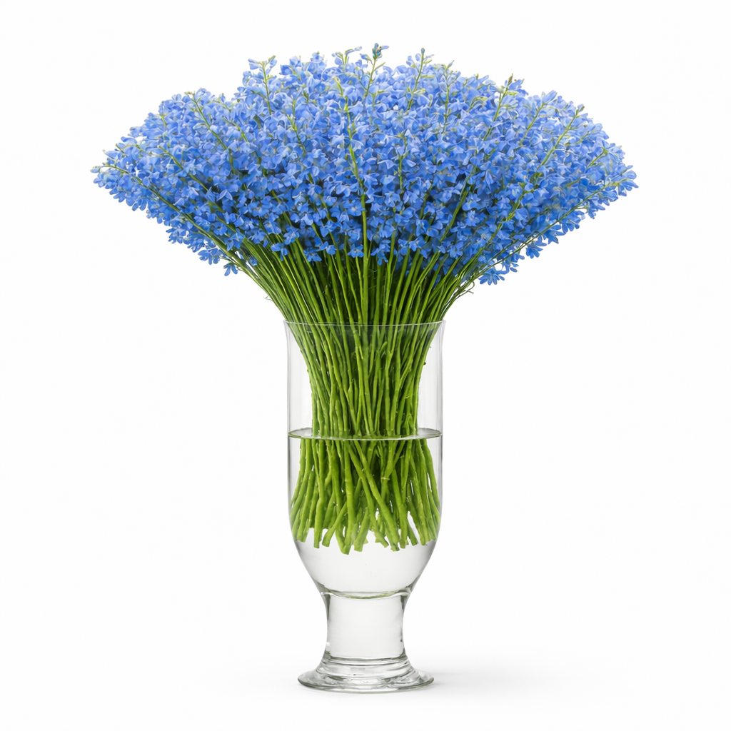 Sky Waltz Light Blue 60cm