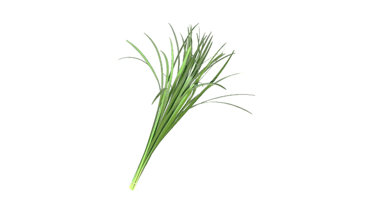 Foliage/Greens Green Lilly grass 60CM